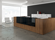 Кабинет руководителя Lounge